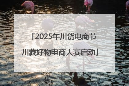 2025年川货电商节川藏好物电商大赛启动